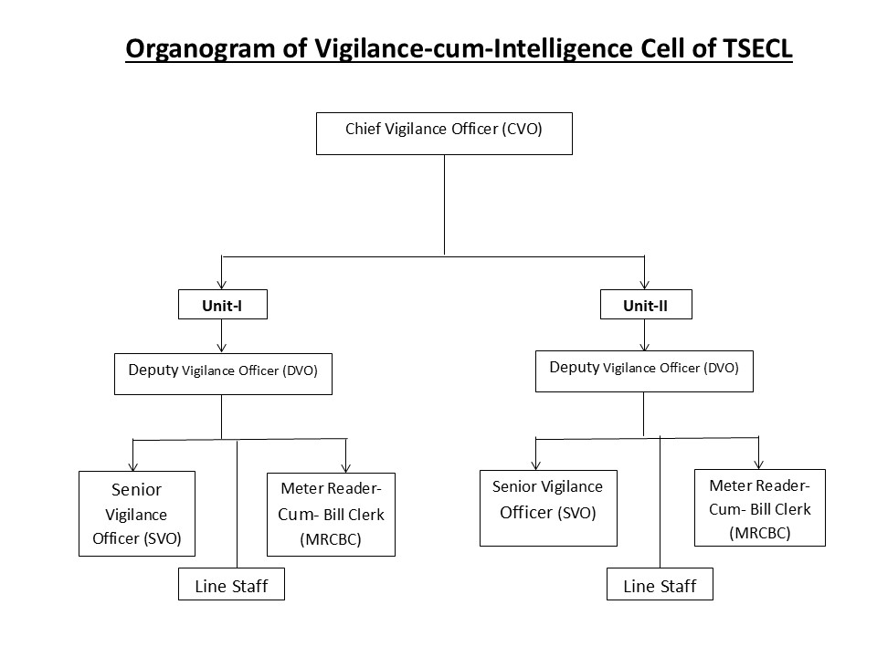 Vigilance Activity